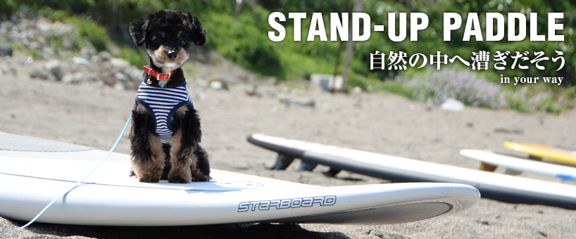 STAND-UP PADDLE 自然と戯れる